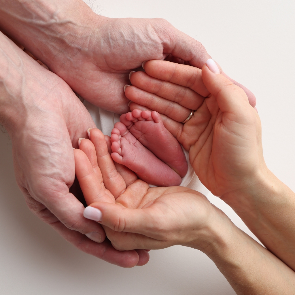 Sree Fertility Centre