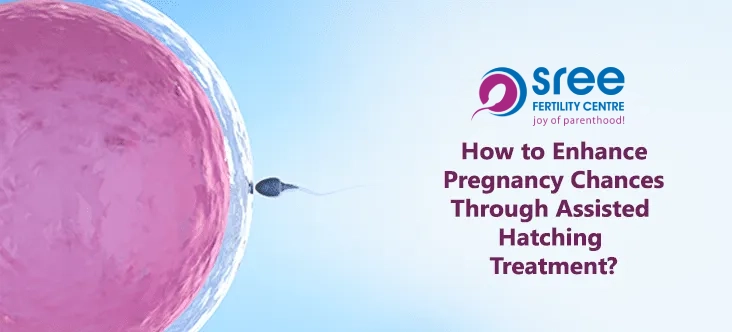 Sree Fertility Centre