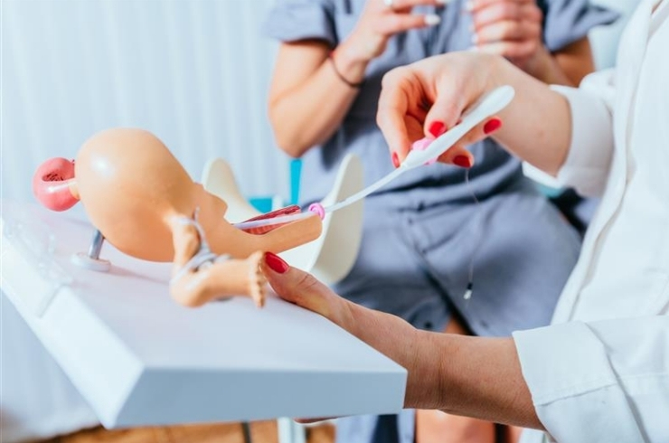 Sree Fertility Centre