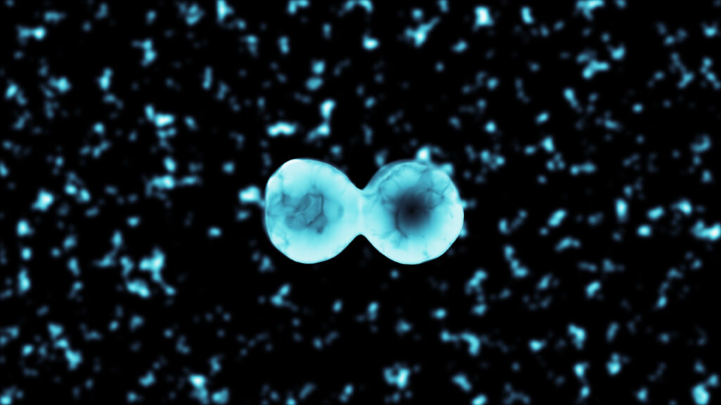 Sree Fertility Centre