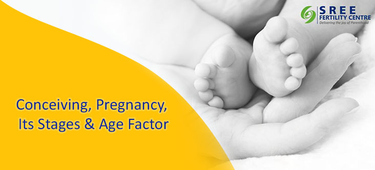 Sree Fertility Centre