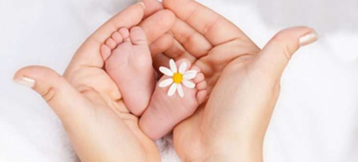 Sree Fertility Centre