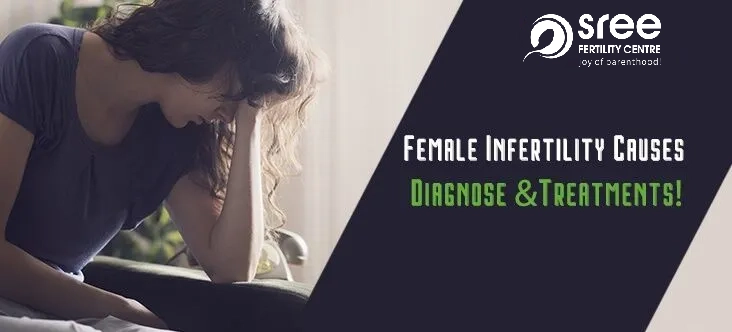 Sree Fertility Centre