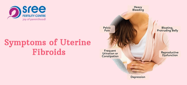 Sree Fertility Centre